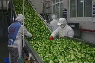 現代農業的慈溪樣本,就是這么牛