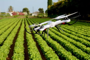 農業巨頭大力布局飛防領域 拜耳一系列活動說明一切