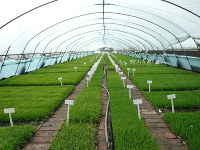 佳木斯市樺南縣:&ldquo;數(shù)字鄉(xiāng)村戰(zhàn)略&rdquo;助力鄉(xiāng)村振興發(fā)展