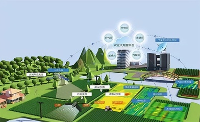 「觀點(diǎn)」盤和林|數(shù)字賦能鄉(xiāng)村振興,融合生產(chǎn)多個(gè)環(huán)節(jié)重塑農(nóng)業(yè)