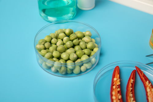 辣椒豌豆食品安全農(nóng)業(yè)科技食品培育攝影圖 插畫 下載至來(lái)源處