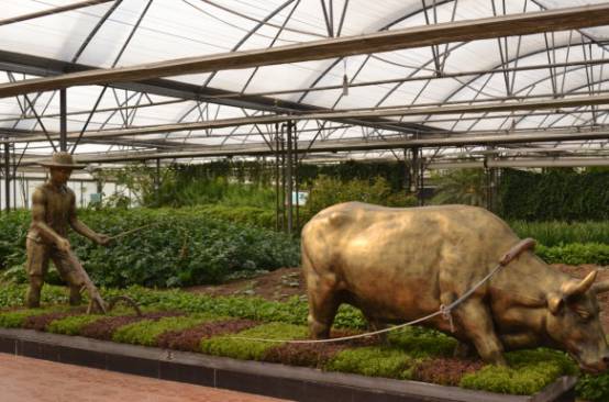 植物工廠走進生活 農場變農廠 家庭自給 蔬菜柜 ,你get到了嗎