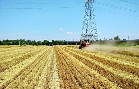 微山加快勾勒現(xiàn)代農(nóng)業(yè)新圖景
