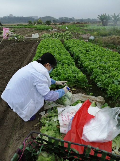 江門開平市人民政府門戶網(wǎng)站