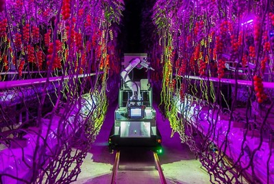 電裝與Certhon跨界創(chuàng)新實踐 Artemy機器人 開啟農(nóng)業(yè)工廠化時代