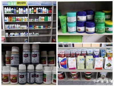 秦安:農資儲備充足 春耕不誤農時(圖)