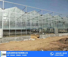 富峰農(nóng)業(yè) 信陽(yáng)文洛式溫室廠家的專(zhuān)業(yè)優(yōu)勢(shì)與發(fā)展前景