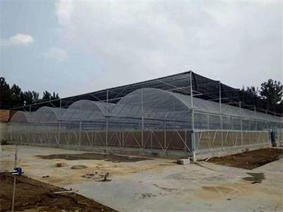 宏陽溫室大棚 昆明農業大棚廠家直銷的優質選擇