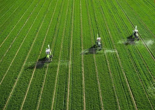 百果園發(fā)力果蔬加工 以全程托管服務增值農業(yè)，賦能生態(tài)農業(yè)新生態(tài)