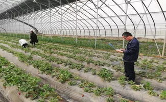 農產品抽檢筑牢安全防線 親子運動會共繪社區(qū)春色——合陽金水社區(qū)近期活動側記