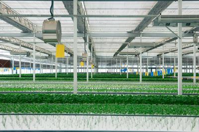 飯碗端得更牢 餐桌更加豐富——“十四五”農業(yè)高質量發(fā)展答卷