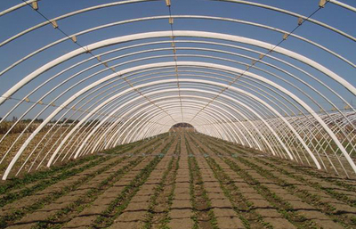 安陽市佳和農業(yè) 專業(yè)品質，護航現(xiàn)代農業(yè)——大棚配件廠家的卓越實踐