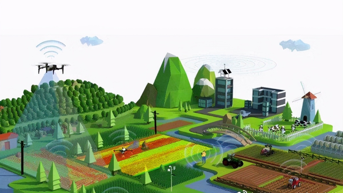 數(shù)字賦能 鄉(xiāng)村振興戰(zhàn)略下農業(yè)現(xiàn)代化的新引擎