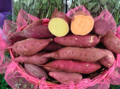 安吉綠耕生態(tài)農業(yè)發(fā)展 從“大番薯”看薯類作物的生態(tài)價值與產業(yè)未來